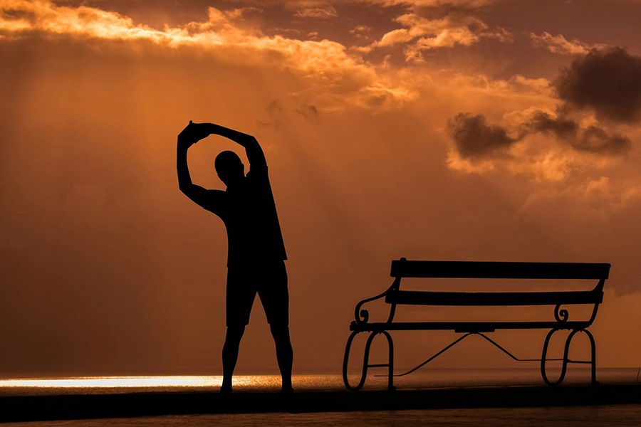 Sandra Teruel - Actividades - Formación