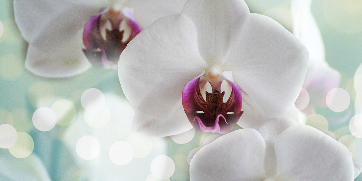 Sandra Teruel - Qué Hago - Terapia Individual Gestalt